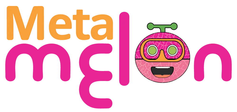 Meta Melon | Your Trusted Partner In Expert IT Solutions